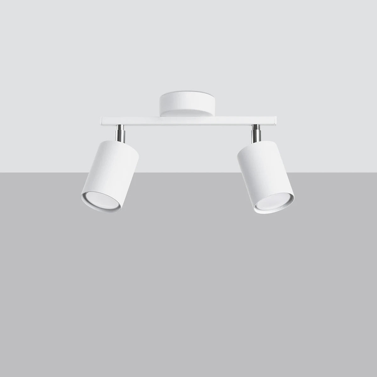Steel Ceiling Light With 2 Lemmi Lamps - Bittersweet Shimmer
