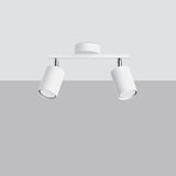 Steel Ceiling Light With 2 Lemmi Lamps - Bittersweet Shimmer