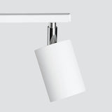 Steel Ceiling Light With 2 Lemmi Lamps - Bittersweet Shimmer