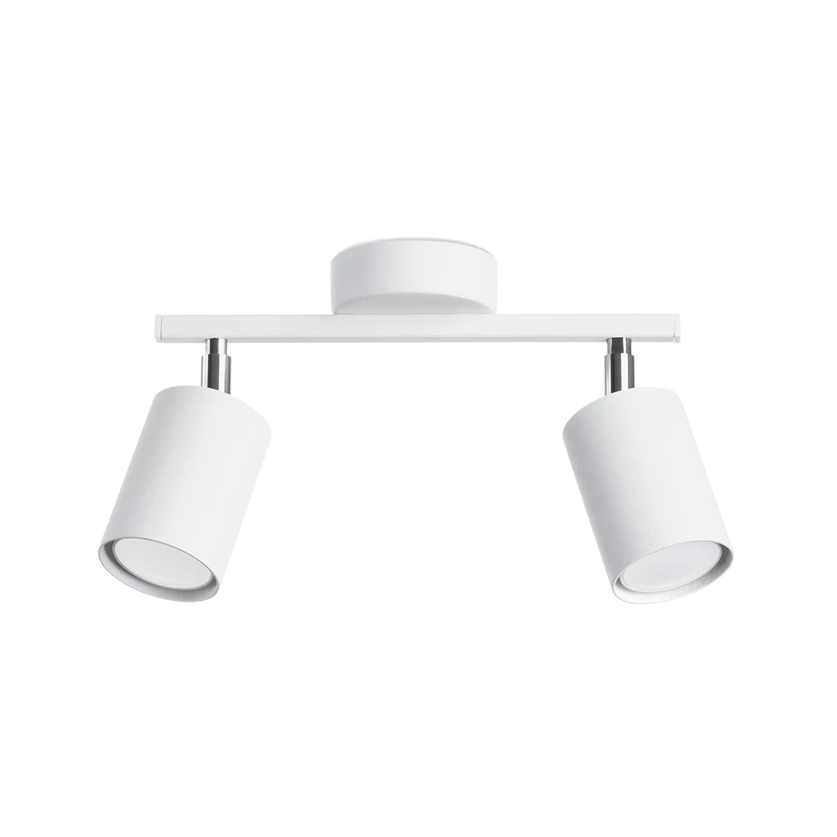 Steel Ceiling Light With 2 Lemmi Lamps - Bittersweet Shimmer