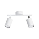 Steel Ceiling Light With 2 Lemmi Lamps - Bittersweet Shimmer