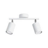 Steel Ceiling Light With 2 Lemmi Lamps - Bittersweet Shimmer