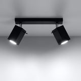 Steel Ceiling Light With 2 Merida Lamps - Bittersweet Shimmer