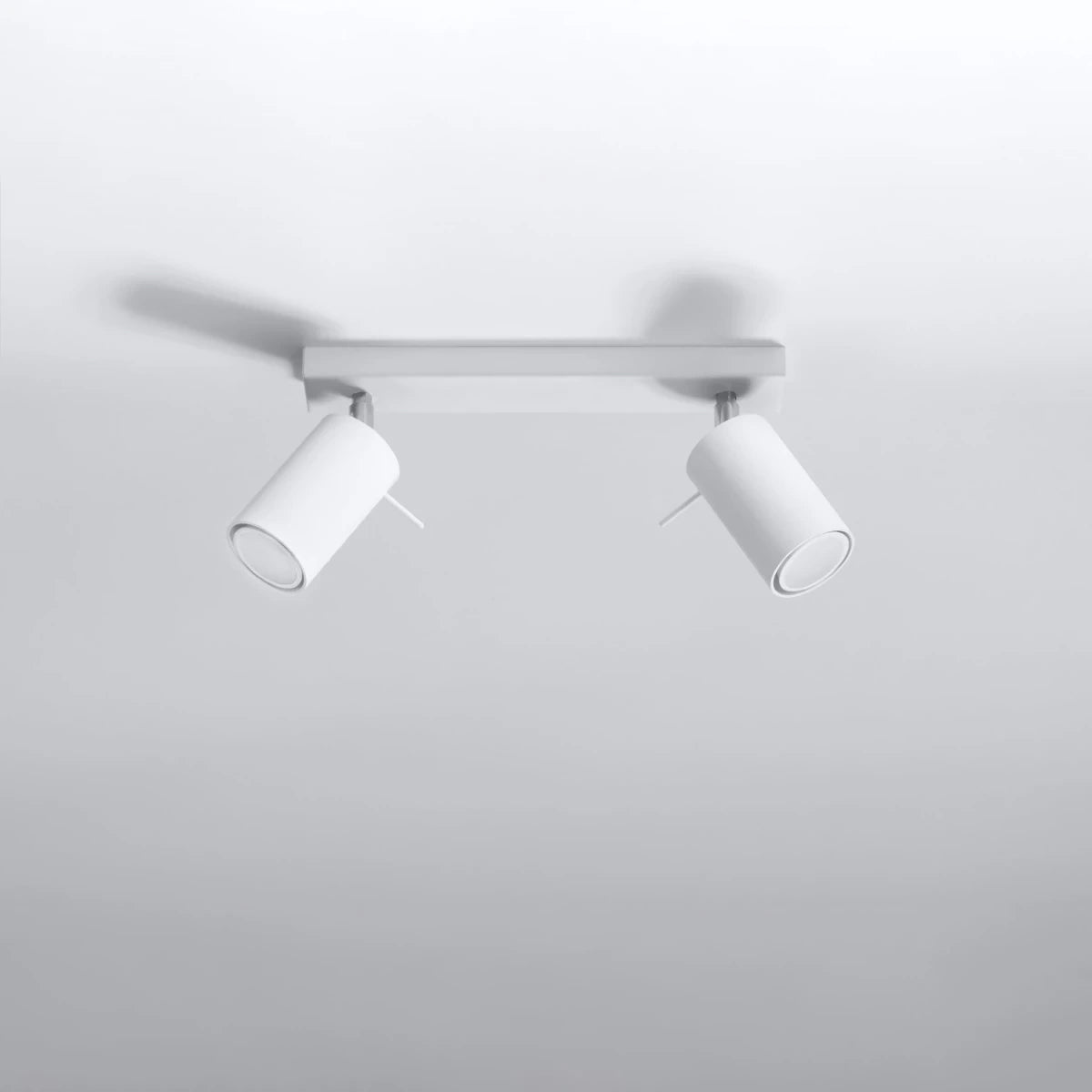 Steel Ceiling Light With 2 Ring Lamps - Bittersweet Shimmer