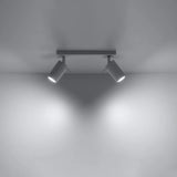 Steel Ceiling Light With 2 Ring Lamps - Bittersweet Shimmer