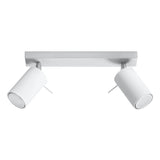 Steel Ceiling Light With 2 Ring Lamps - Bittersweet Shimmer