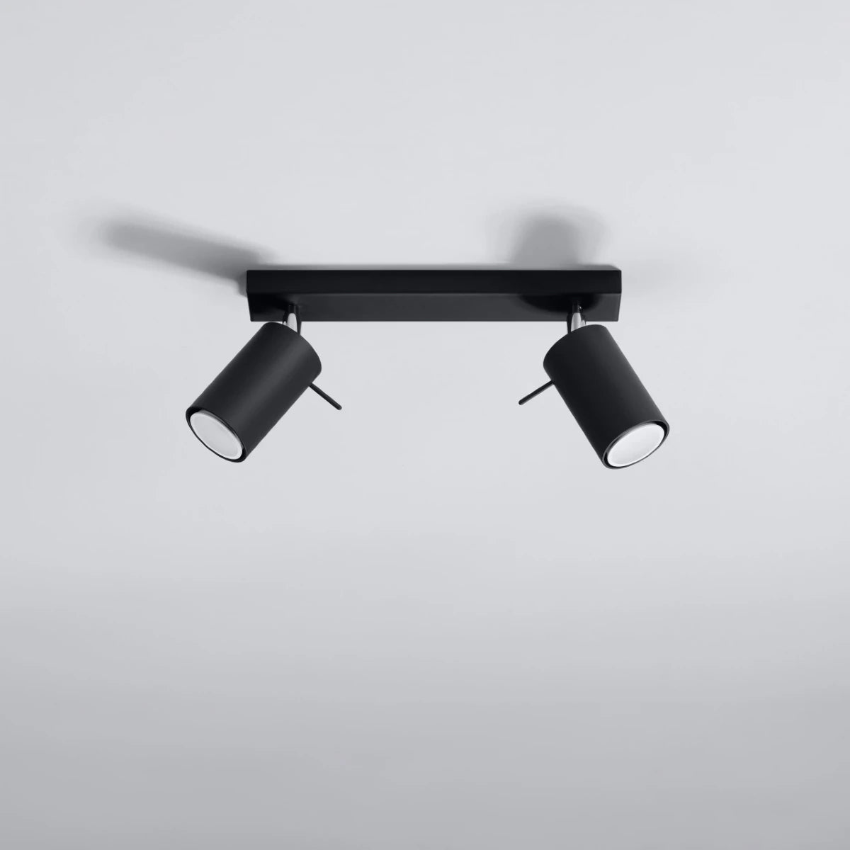 Steel Ceiling Light With 2 Ring Lamps - Bittersweet Shimmer