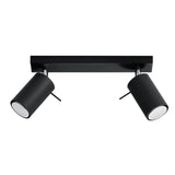 Steel Ceiling Light With 2 Ring Lamps - Bittersweet Shimmer