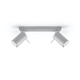 Steel Ceiling Light With 2 Ring Lamps - Bittersweet Shimmer