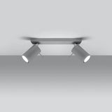 Steel Ceiling Light With 2 Ring Lamps - Bittersweet Shimmer