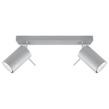 Steel Ceiling Light With 2 Ring Lamps - Bittersweet Shimmer