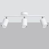 Steel Ceiling Light With 3 Lemmi Lamps - Bittersweet Shimmer