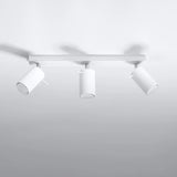 Steel Ceiling Light With 3 Ring Lamps - Bittersweet Shimmer