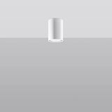 Steel Ceiling Light With Lagos 10 Lamp - Ocean Green
