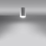 Steel Ceiling Light With Lagos 10 Lamp - Ocean Green