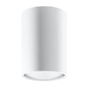 Steel Ceiling Light With Lagos 10 Lamp - Ocean Green