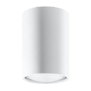 Steel Ceiling Light With Lagos 10 Lamp - Ocean Green
