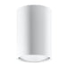 Steel Ceiling Light With Lagos 10 Lamp - Ocean Green
