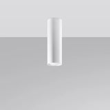 Steel Ceiling Light With Lagos 20 Lamp - Ocean Green