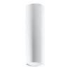Steel Ceiling Light With Lagos 20 Lamp - Ocean Green