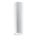 Steel Ceiling Light With Lagos 20 Lamp - Ocean Green