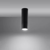 Steel Ceiling Light With Lagos 20 Lamp - Ocean Green