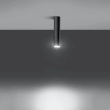 Steel Ceiling Light With Lagos 30 Lamp - Ocean Green