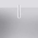 Steel Ceiling Light With Lagos 40 Lamp - Ocean Green