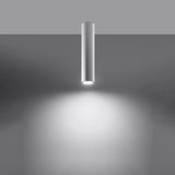 Steel Ceiling Light With Lagos 40 Lamp - Ocean Green