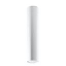 Steel Ceiling Light With Lagos 40 Lamp - Ocean Green