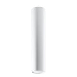 Steel Ceiling Light With Lagos 40 Lamp - Ocean Green