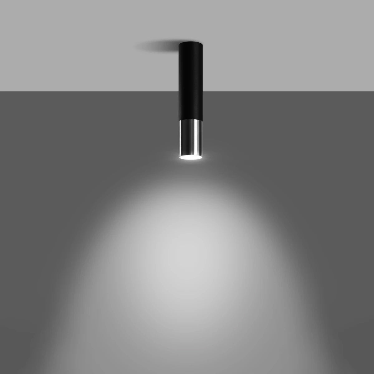 Steel Ceiling Light With Loopez Lamp in Black - Ocean Green