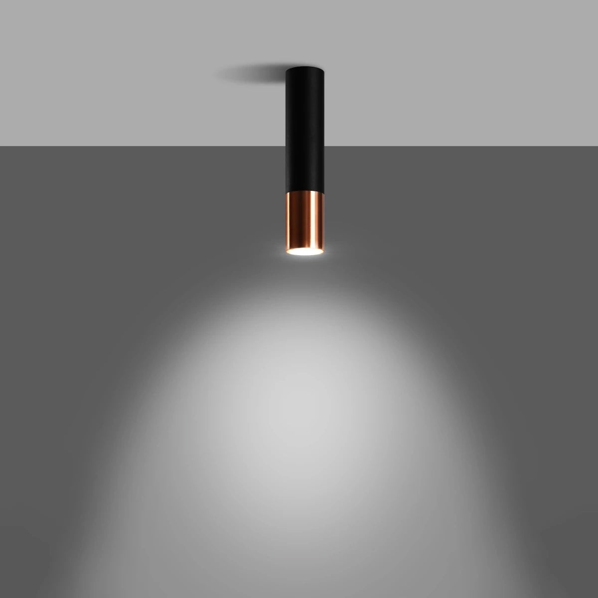 Steel Ceiling Light With Loopez Lamp in Black - Ocean Green