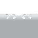 Steel Ceiling Light Rectangular With 4 Ring Lamps - Bittersweet Shimmer