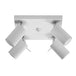 Steel Ceiling Light Square With 4 Ring Lamps - Bittersweet Shimmer