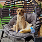Steel Egg Chair With Cushion and Side Pocket - Velmora