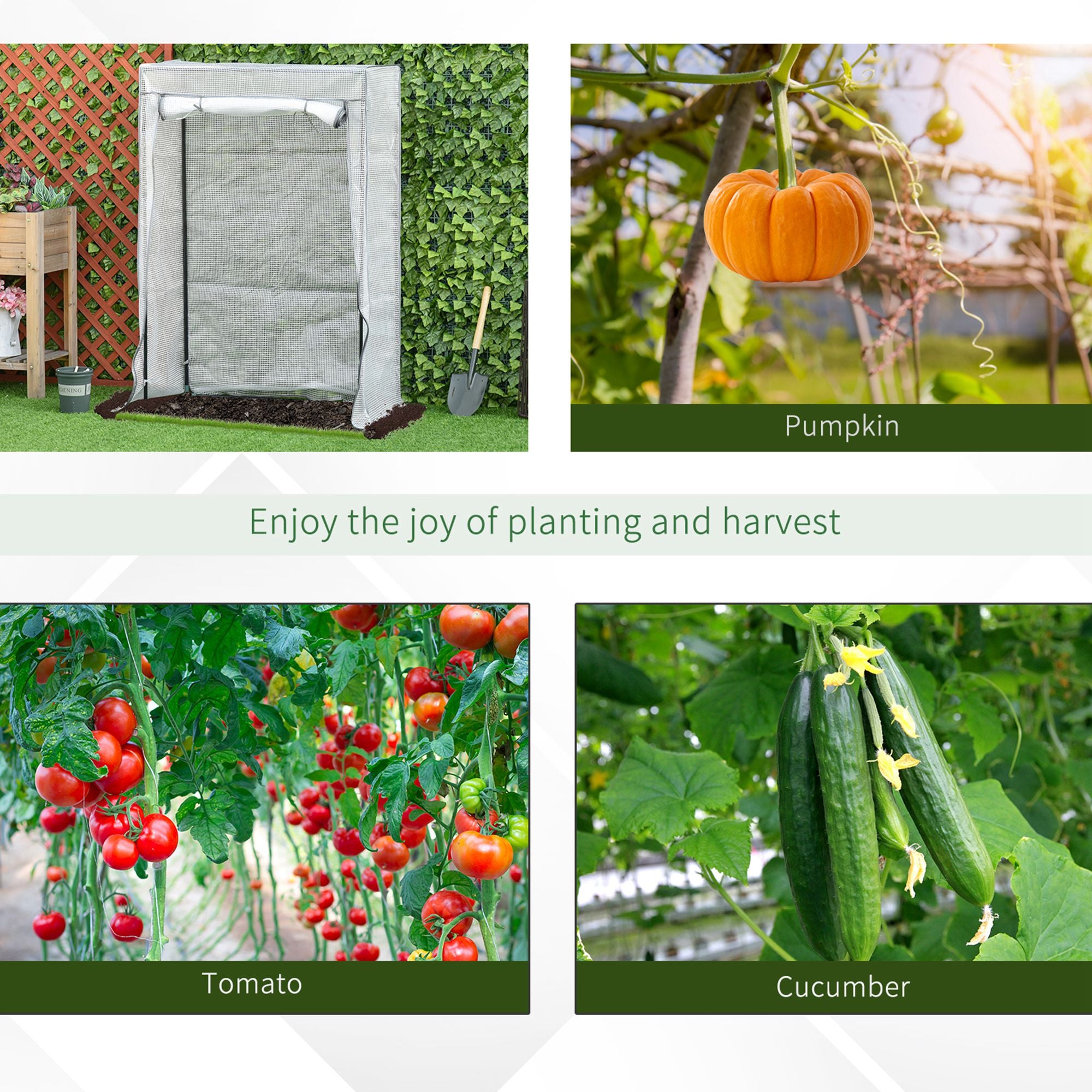 Steel Frame Garden Tomato Greenhouse With Roll-UP Door - Velmora