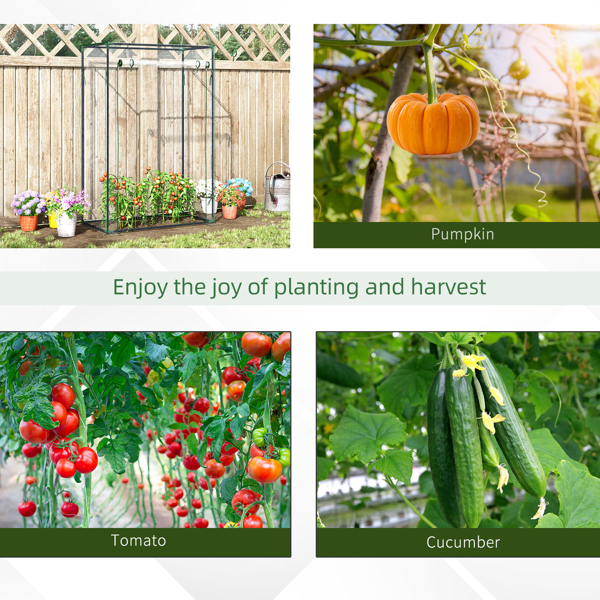 Steel Frame Garden Tomato Greenhouse With Roll-UP Door - Velmora