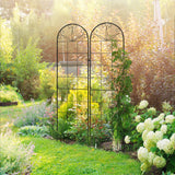 Steel Garden Trellis 50cm Wide in Set Of 2 Grid Design - Velmora