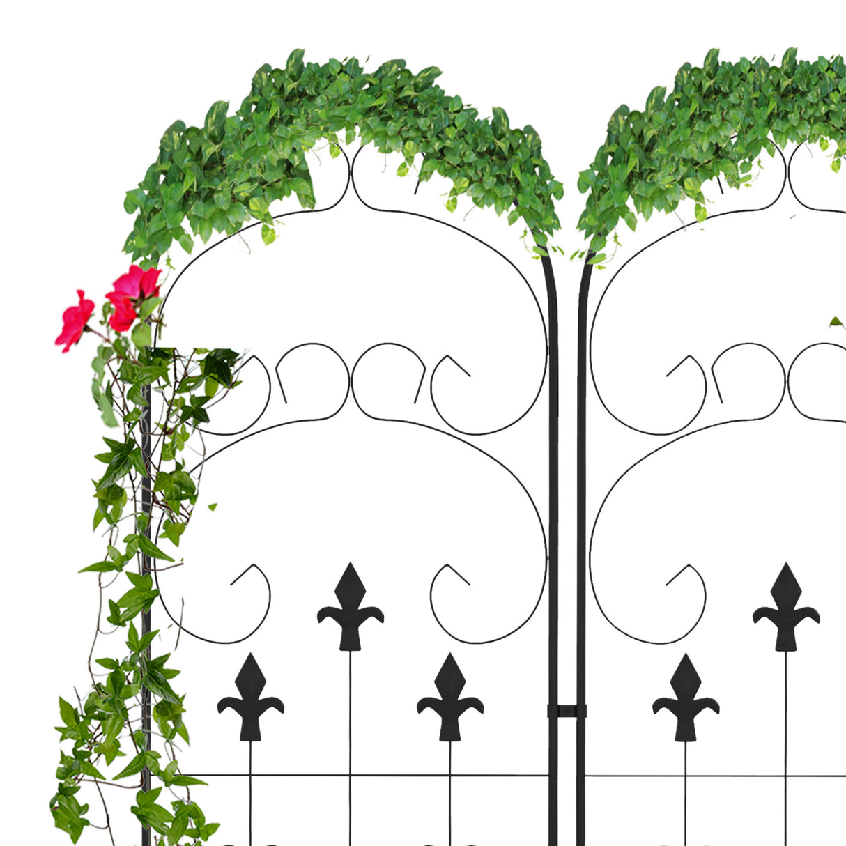 Steel Garden Trellis 50cm Wide in Set Of 2 Scrolls Design - Velmora