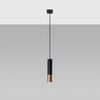 Steel Pendant Light With Loopez 1 Lamp in Black - Ocean Green