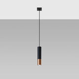 Steel Pendant Light With Loopez 1 Lamp in Black - Ocean Green