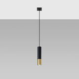 Steel Pendant Light With Loopez 1 Lamp in Black - Ocean Green