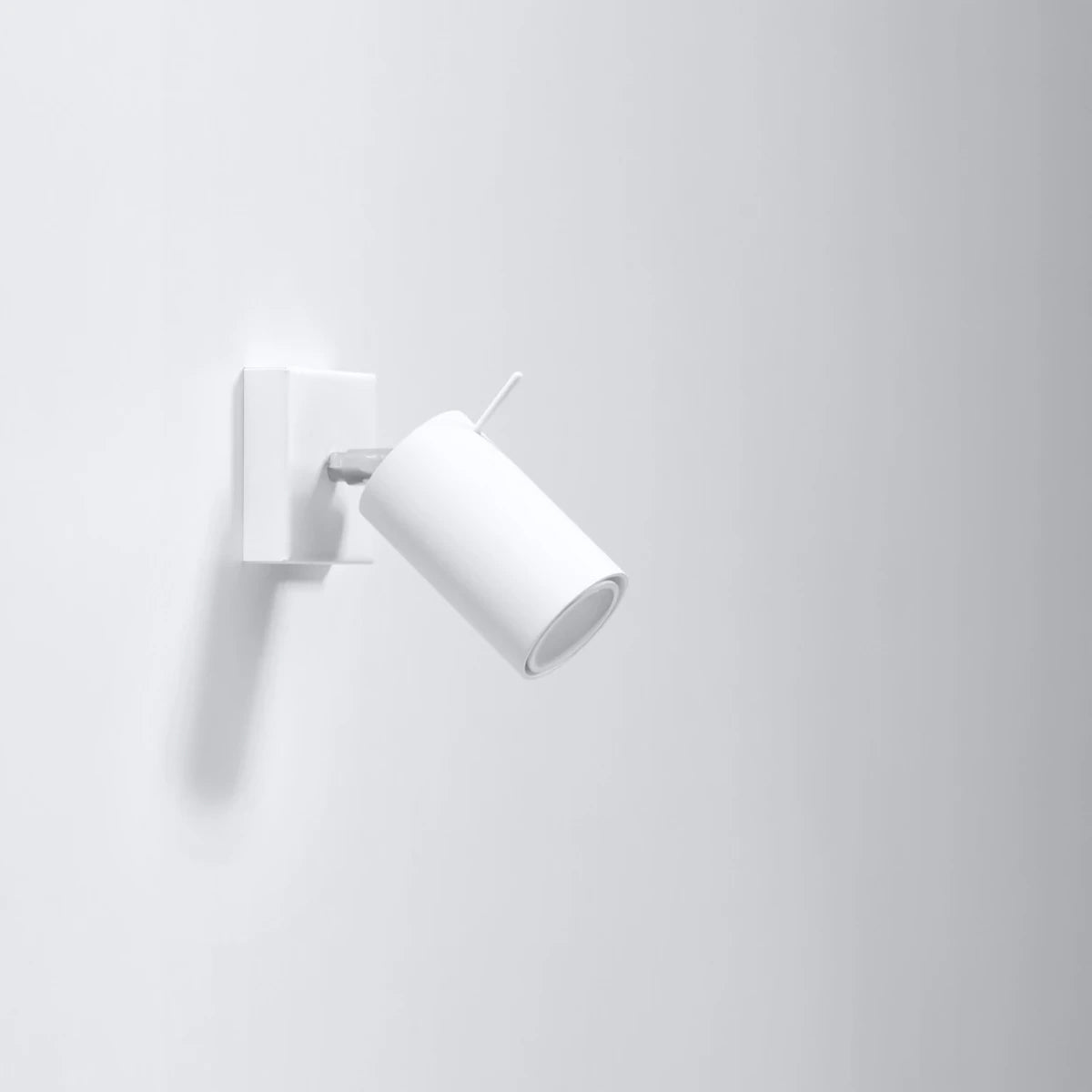 Steel Wall Light With Ring Lamp - Bittersweet Shimmer