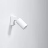 Steel Wall Light With Ring Lamp - Bittersweet Shimmer