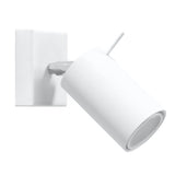 Steel Wall Light With Ring Lamp - Bittersweet Shimmer