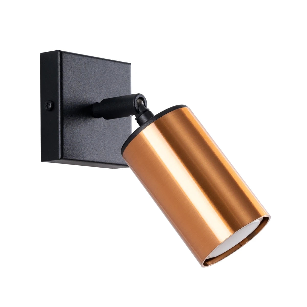 Steel Wall Light With Winx Lamp - Bittersweet Shimmer