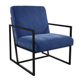 Velvet Accent Chair With Black Metal Frame - Chance