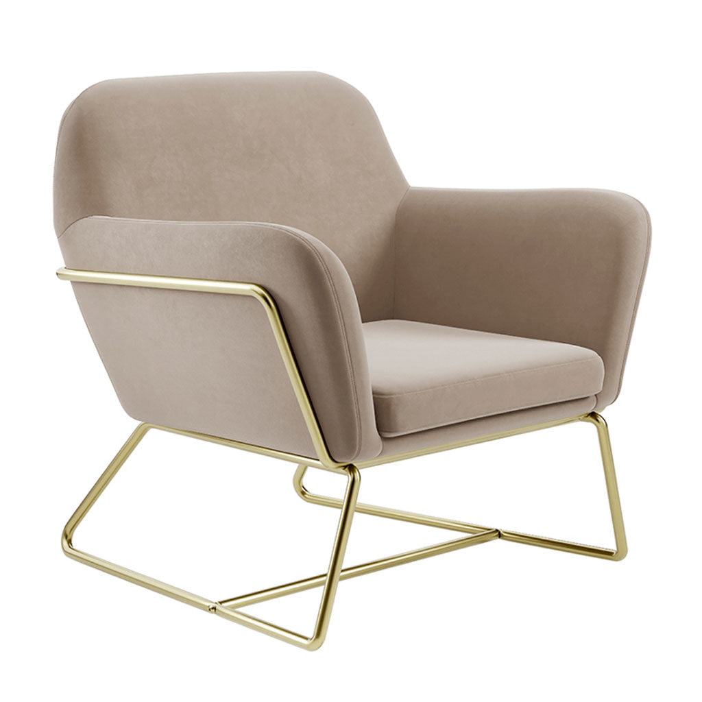 Velvet Armchair With Gold Frame - Charles