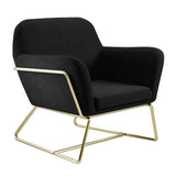 Velvet Armchair With Gold Frame - Charles